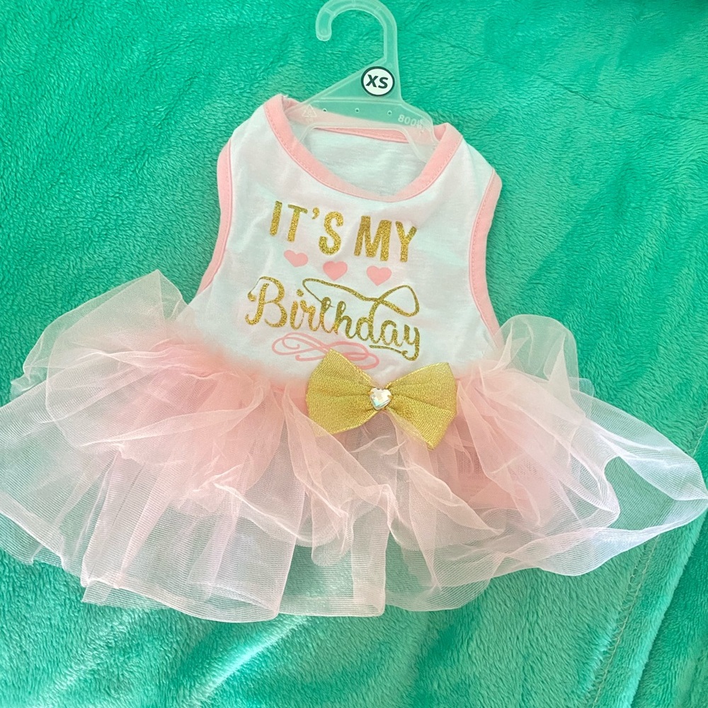 Xs Bday dress